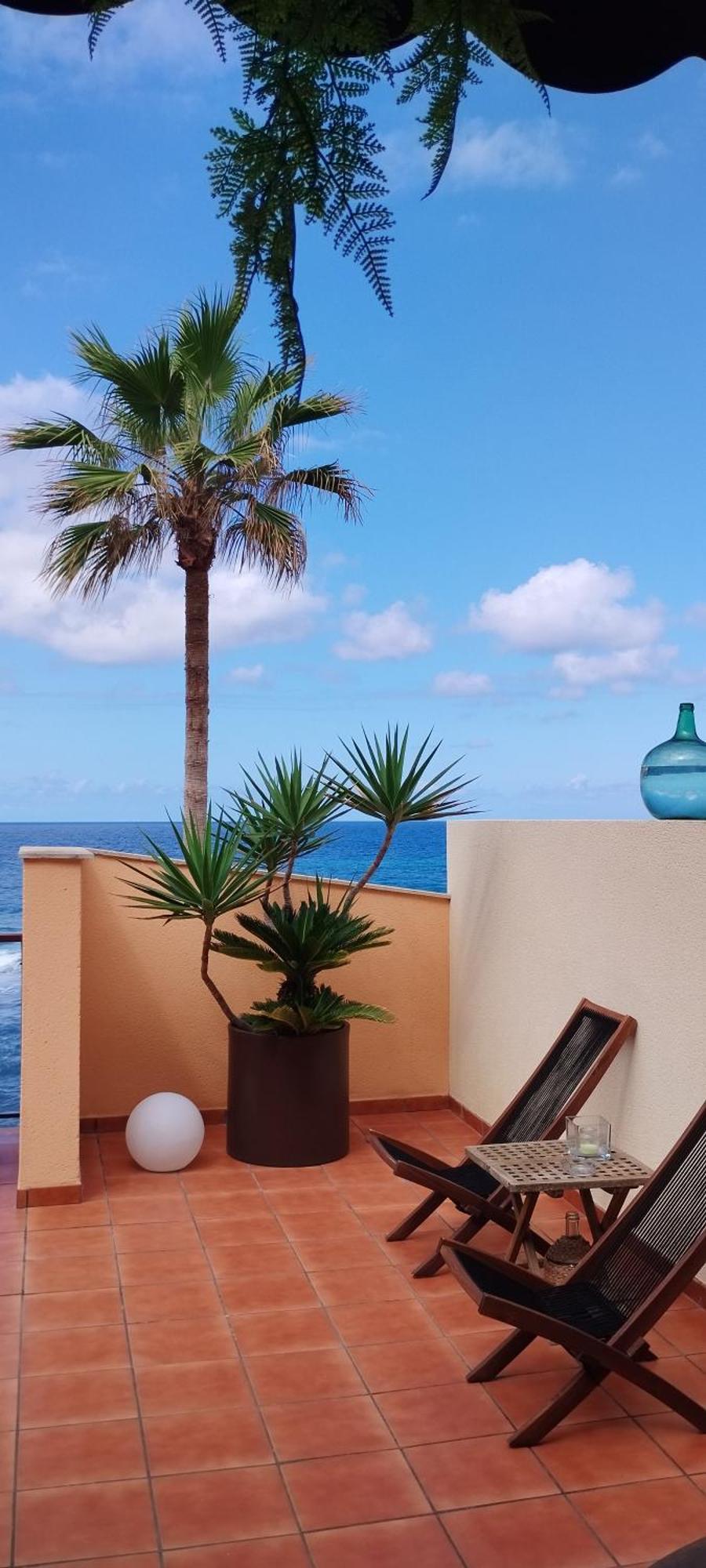 Santa Maria de Guia de Gran Canaria Facing The Ocean 아파트 외부 사진